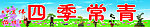 盆景花卉