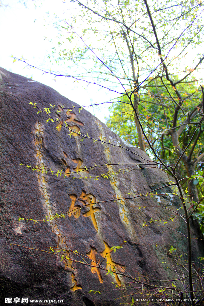 仙公山 风景