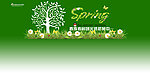 春天 网站背景图