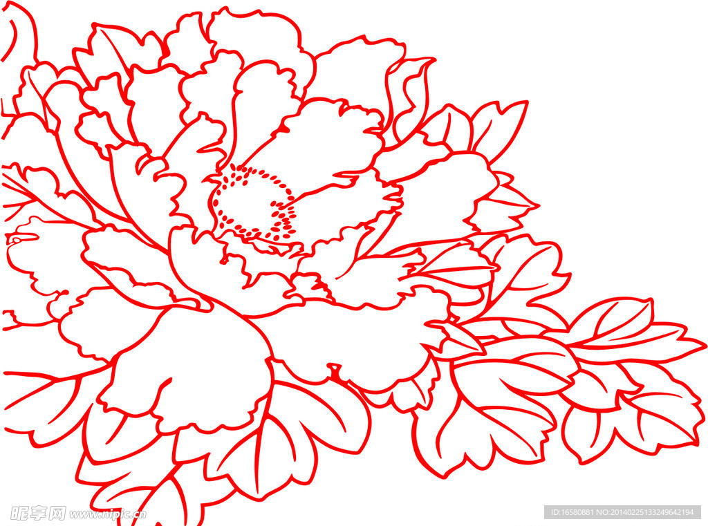 花 牡丹