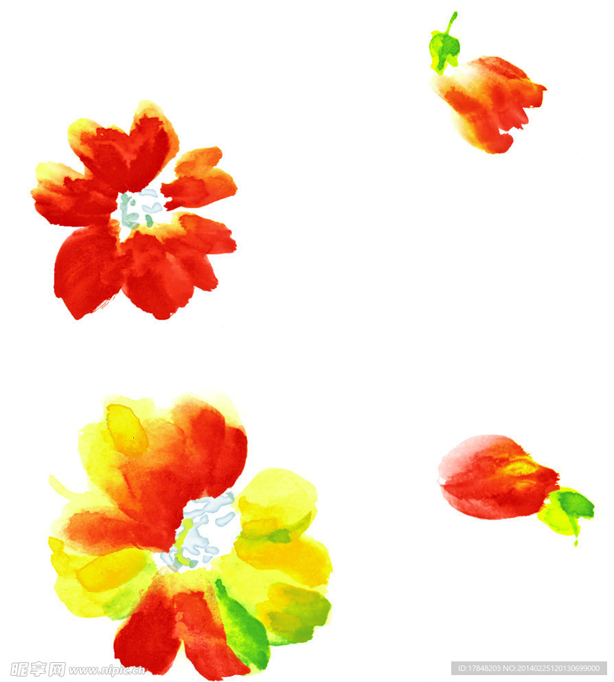 手绘 花素材（通道分层）