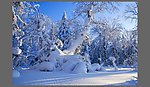 雪乡雪景
