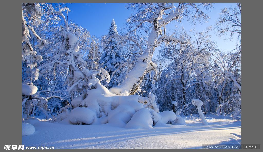 雪乡雪景