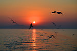 太湖晚霞