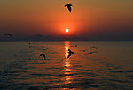 太湖晚霞
