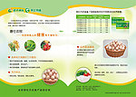 绿色食品单页