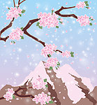 樱花
