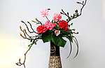 山茶花
