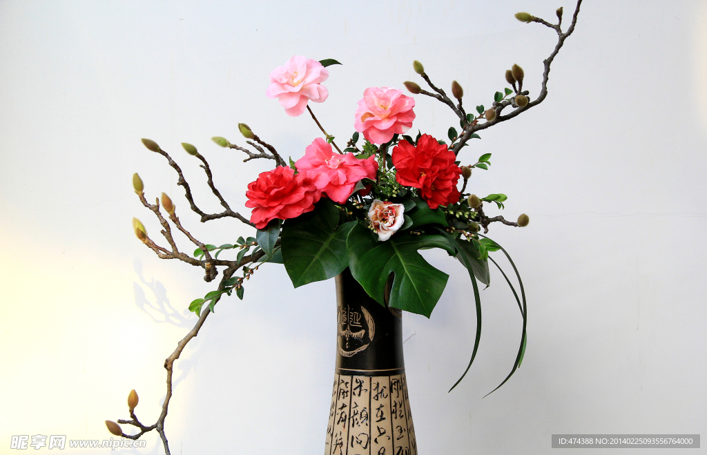 山茶花