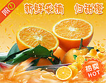 新鲜采摘秭归甜橙