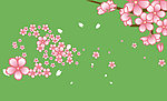 春季花朵素材