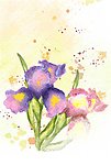 花朵背景