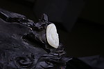 和田玉雕刻 和田玉