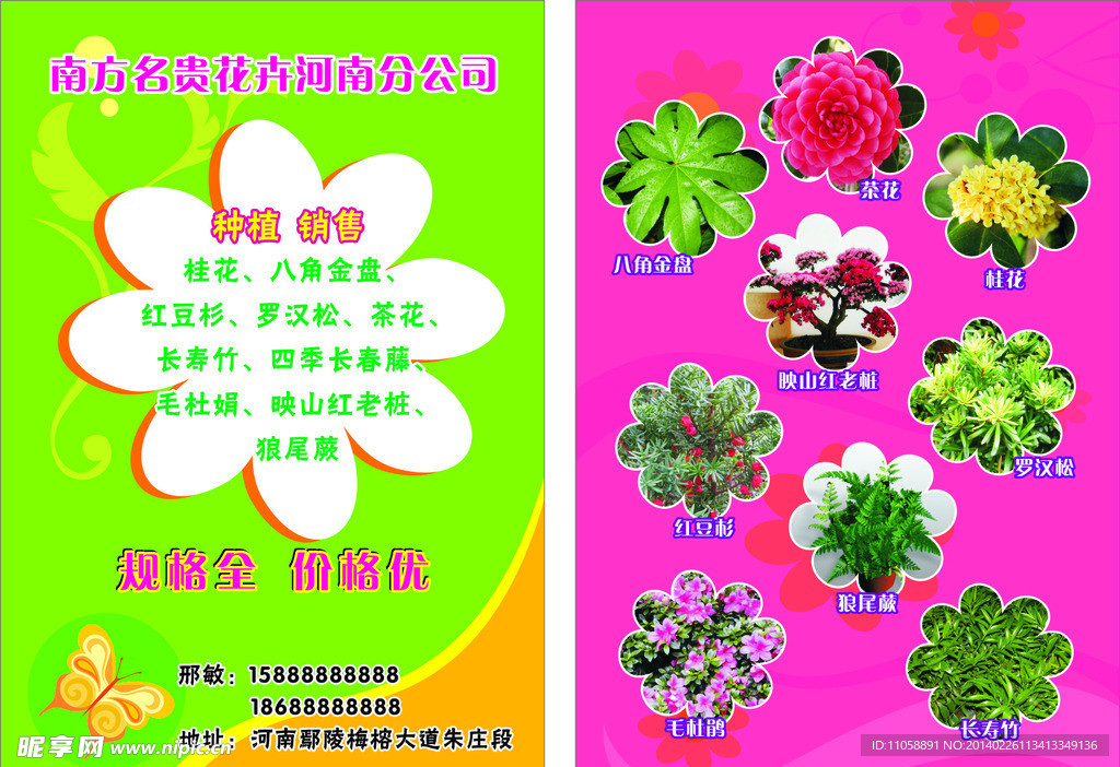 花卉卡片