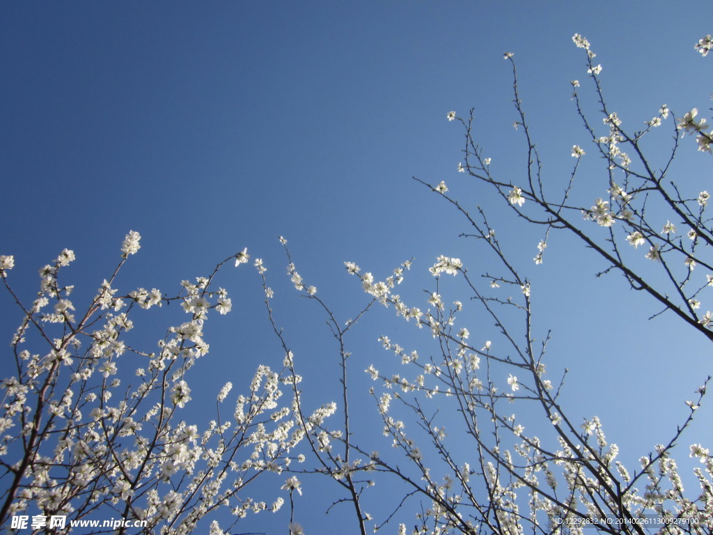 仰望天空