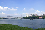 珠江风景