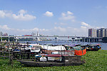 珠江风景