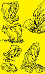 国画山石