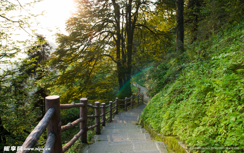 峨眉后山