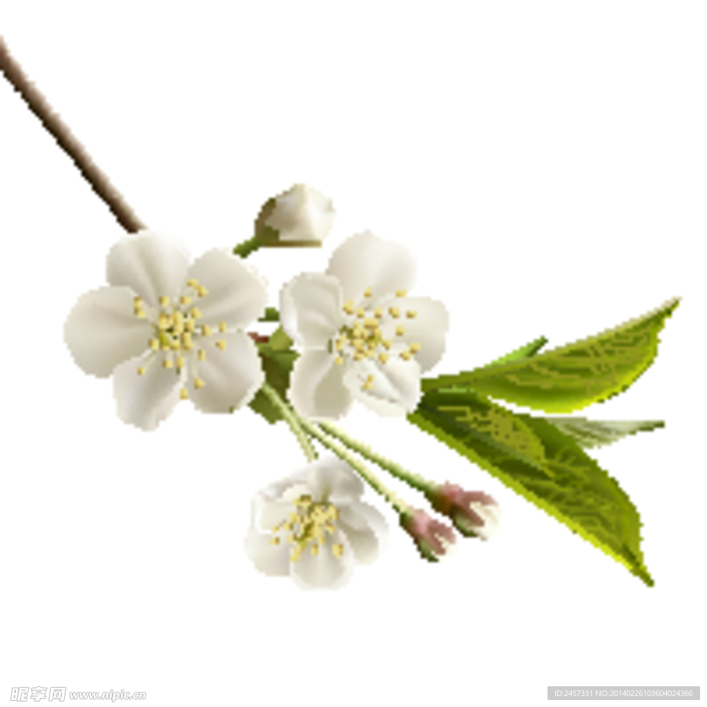 鲜花矢量