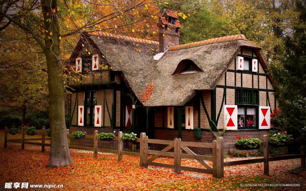 秋色小屋