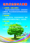创业成功的四大要素