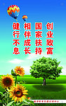 春日阳光