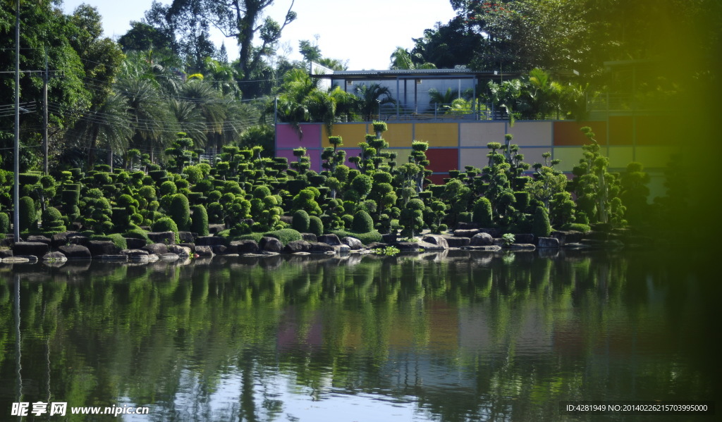 泰国植物园
