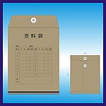 档案袋