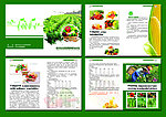 水果蔬菜宣传册