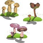 矢量蘑菇