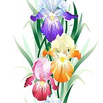 花朵背景