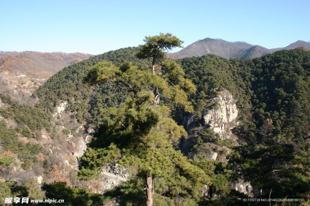 绿色山景