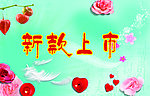 新款上市