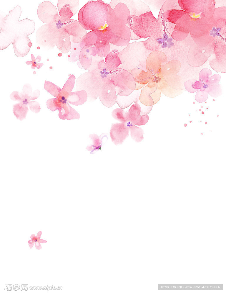 粉色 花朵素材