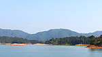 万绿湖风景