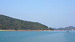 万绿湖风景