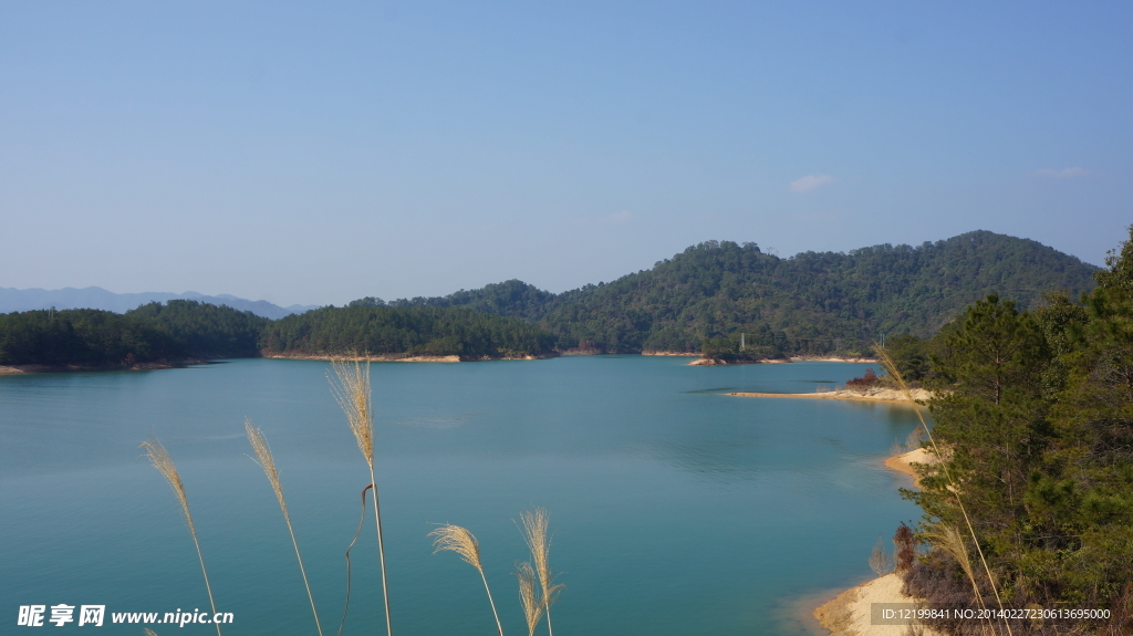 万绿湖风景