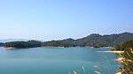 万绿湖风景