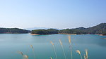 万绿湖风景