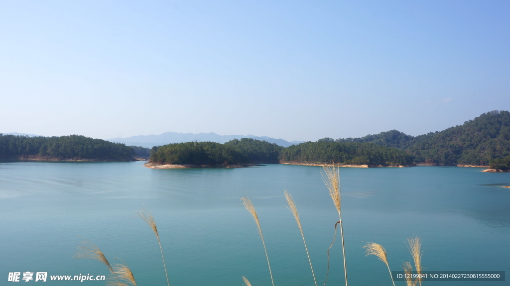 万绿湖风景