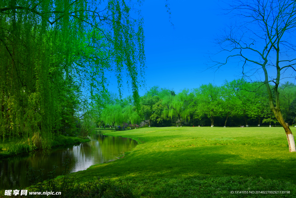 西湖美景