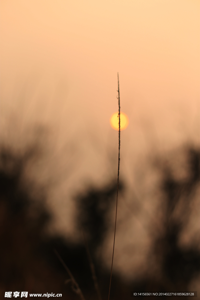 创意夕阳