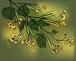手绘鲜花