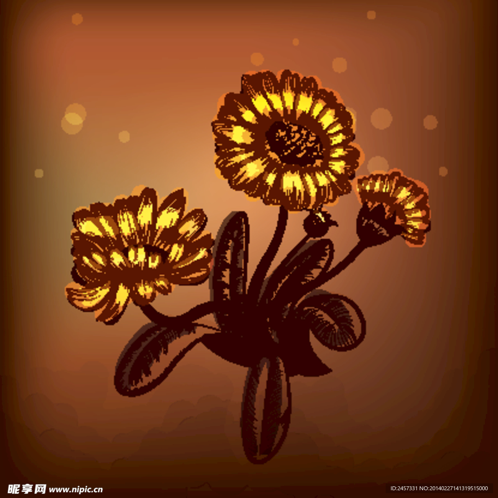 手绘菊花