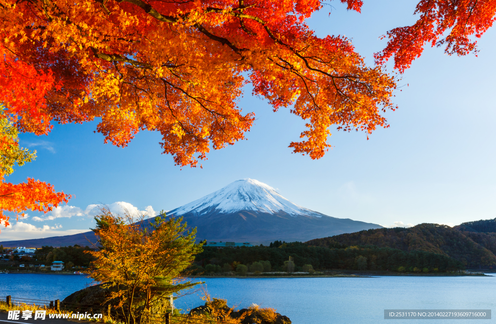 秋景