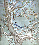 雪霁