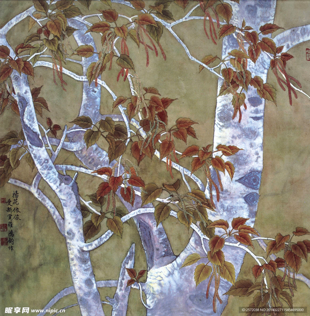 杨花依依