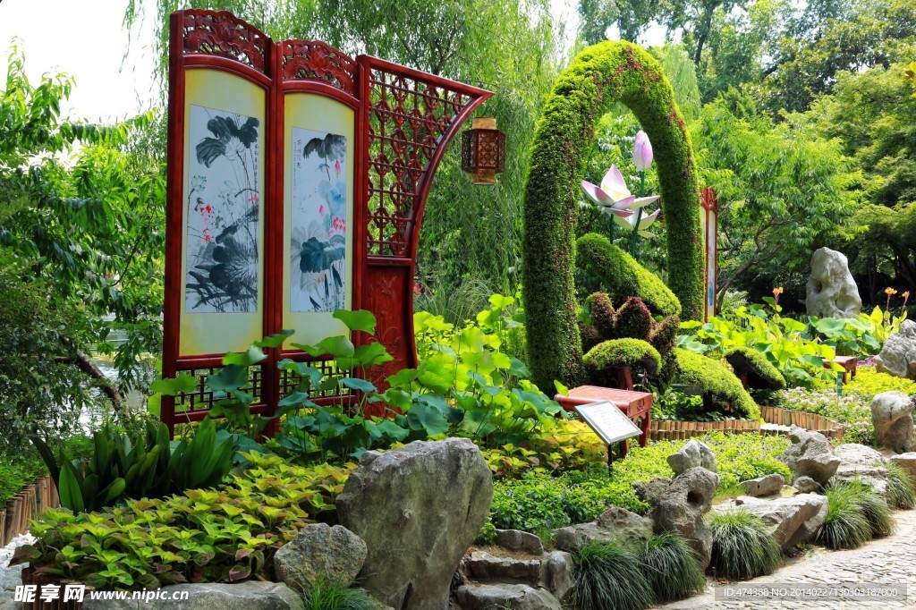 荷花园