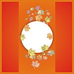 树叶